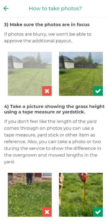 lgphotos2.png